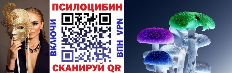 где найти   Ступино  Псилоцибиновые грибы GOLDEN TEACHER 